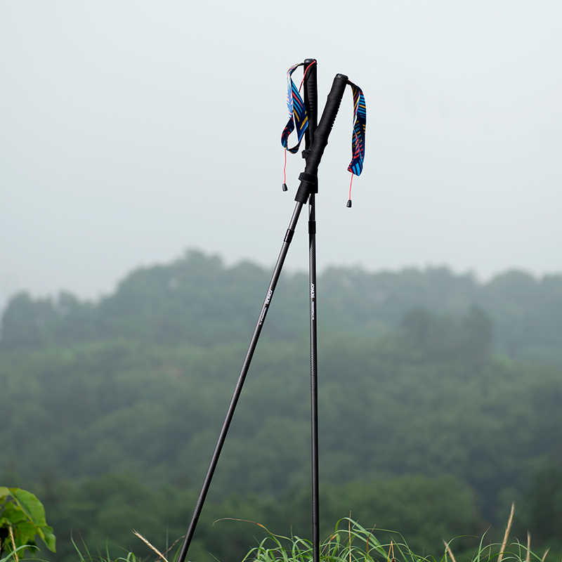 2 Stück AONIJIE Neue Faltbare  – Trekking Pole Carbon Bewertung und Preis